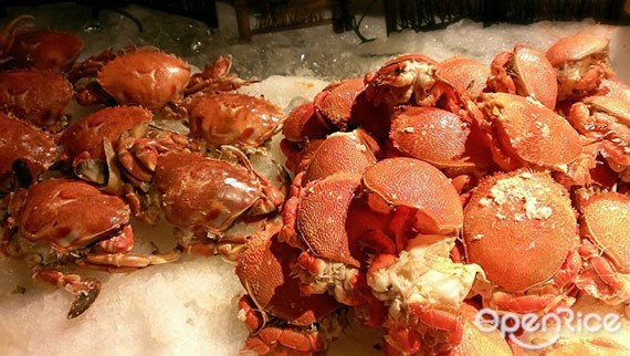 鳳凰十里開味八響碟