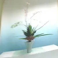 黃文憲